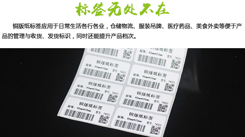 銅版紙4020_02.jpg