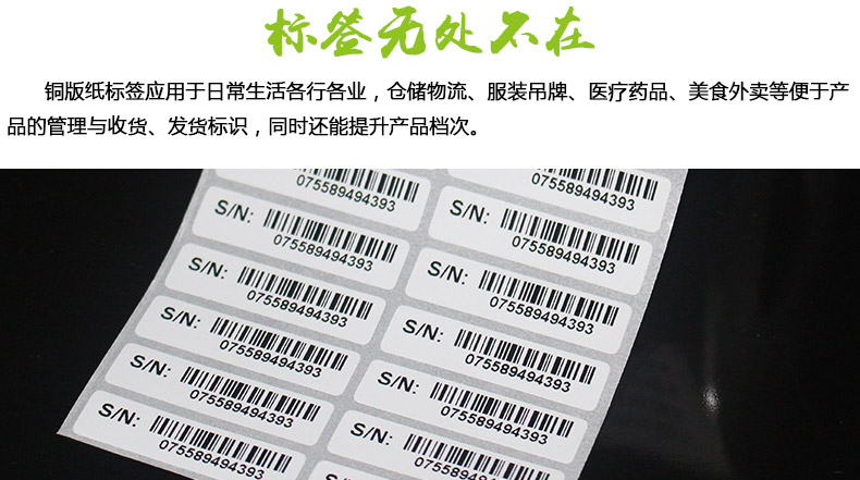 銅版紙4010_02.jpg