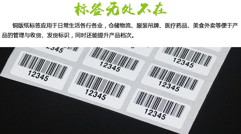銅版紙2010_03.jpg