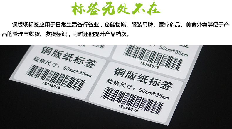 銅版紙5035_03.jpg
