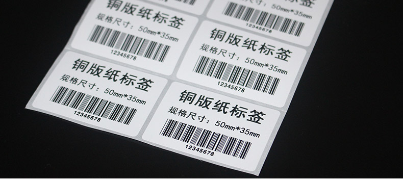 銅版紙5035_17.jpg