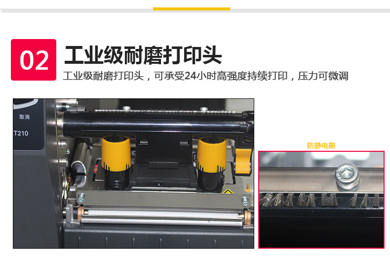 ZT210-300點_08.jpg