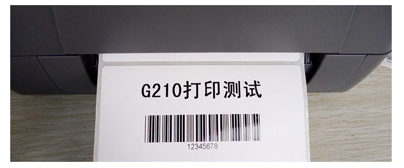 G210_17.jpg